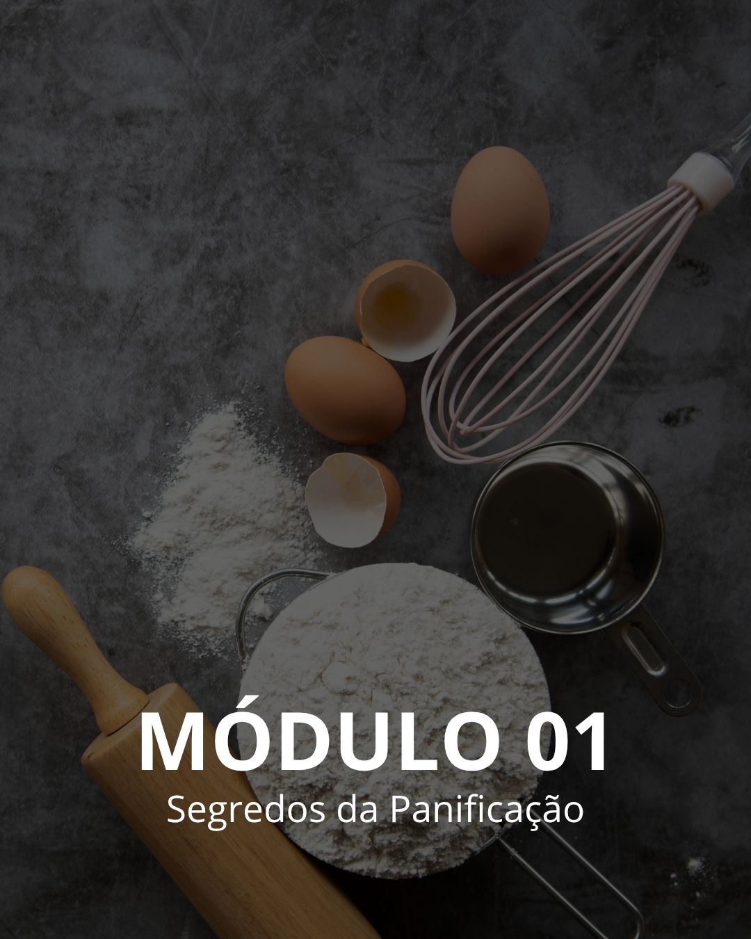 imagens MÓDULOS